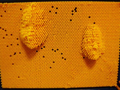 PA090027